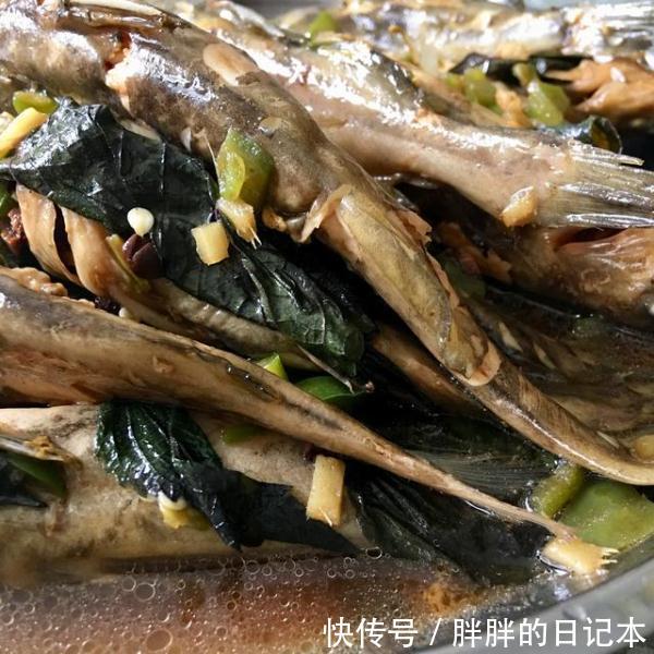 黄辣丁肉质细嫩, 家常做法清炖和红烧各有滋味