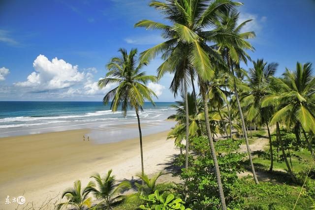 属狗的人,可怕!你摊上大事件了!不信的不要点