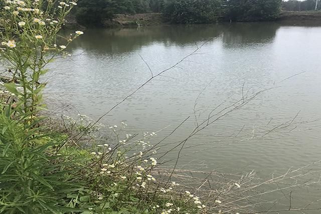 陌生水域垂钓不要盲目下杆 判断有没有鱼是关