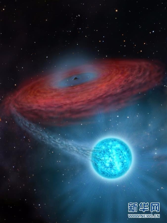 LB-1的艺术想象图，中心黑色的点表示黑洞， 周围红色的圆盘代表截断的吸积盘，右下蓝色天体是伴星B型星。