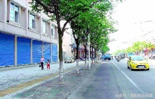 南阳市民反映行道树下油雨 这东西对人有害吗