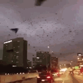 九寨沟地震58秒预警 人类预测地震还需要多久? - 天地人 - 天地人和 九寨沟地震58秒预警 人类预测地震还需要多久? - 天地人 - 天地人和