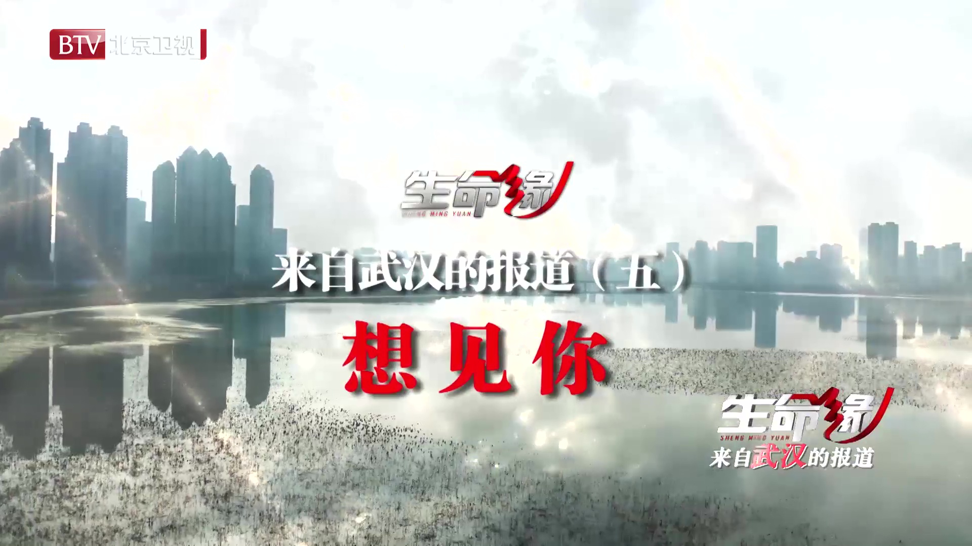 《生命缘》来自武汉的报道（五）想见你