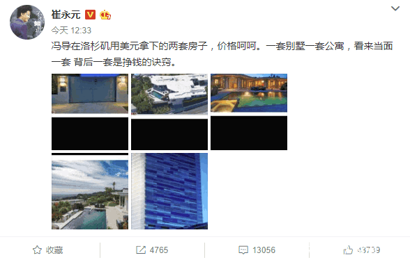 崔永元曝冯小刚用美元购两套房, 袁立: 中国人一