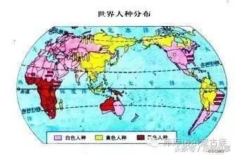 蒙古人种,蒙古族