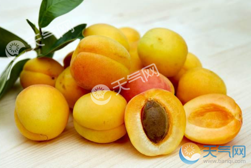 杏子的功效与作用 杏子是黄桃吗区别是什么