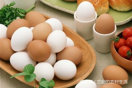 吃了一辈子鸡蛋,才知道蛋黄比蛋白更有营养,水