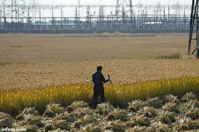 东北人口:从净流入到净流出