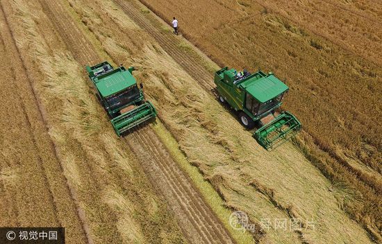 航拍鲁西万亩托管小麦收割季 粮满仓金满地