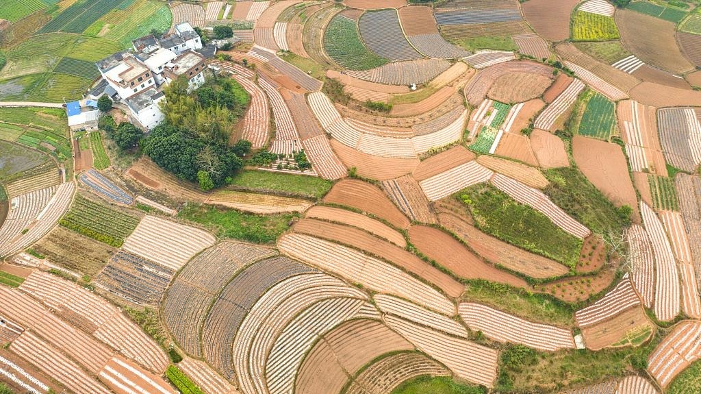 春耕时节，广西南宁市邕宁区蒲庙镇新生村，农民们正在抢抓农时做好春耕备耕，从高空俯瞰，一块块线条优美的田地犹如大地调色板。