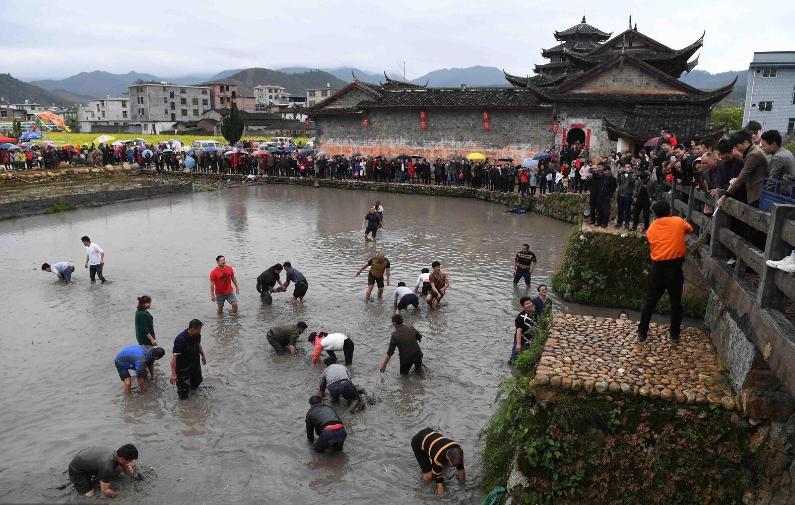 2019年3月8日，在福建省龙岩市连城县莒溪镇璧洲客家古村落，一场“抓鱼闹春田”的活动吸引了许多村民参与。