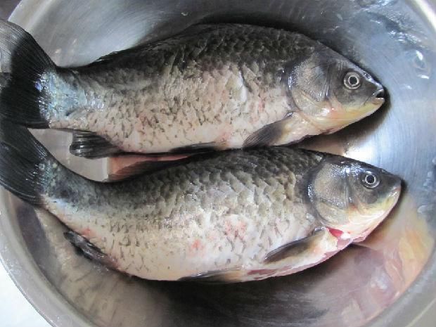 奶汤鲫鱼顾名思义就是炖的鲫鱼汤象牛奶一样,味香汤鲜还滋补健脑