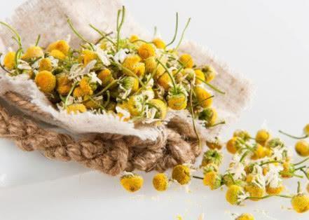 它是幽门螺杆菌的死对头,喝水时撒一把,大小