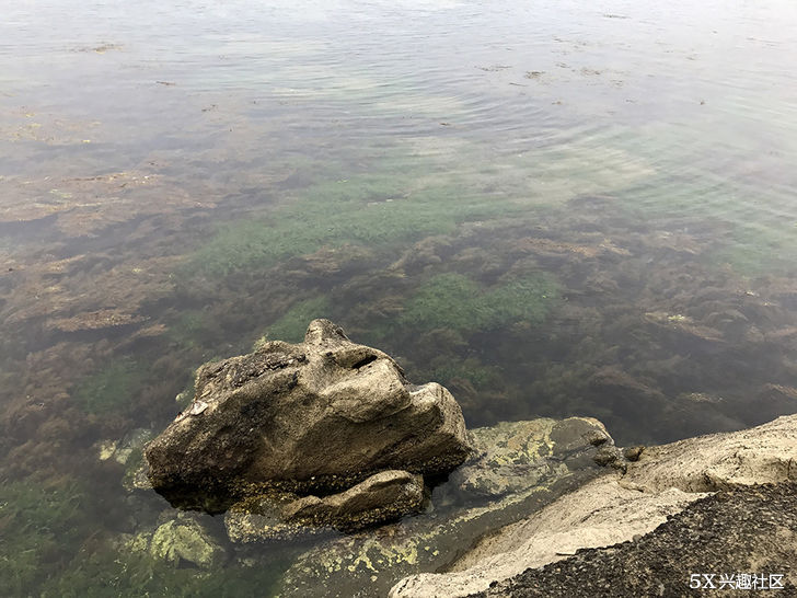 从三重县到石川县--日本中部的无聊游走
