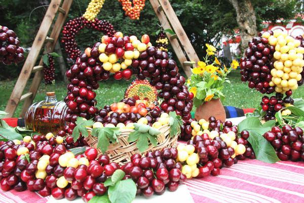 保加利亚樱桃节上的中保"水果合作"