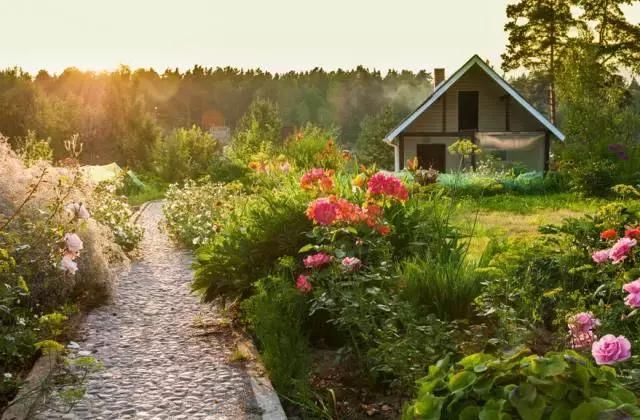 沧州农村宅基地、承包地确权发证时间定了!农