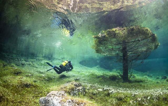 一年只开放3个月的公园,吸引大量潜水爱好者,