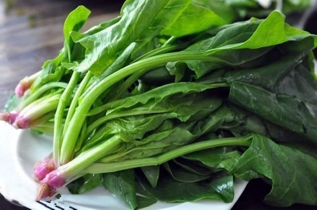 尿酸草酸高的食物有哪些_草酸高的食物有哪些 尿酸草酸高的食物有哪些_草酸高的食物有哪些