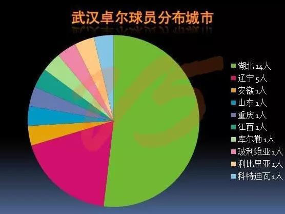 2017中甲今日在汉揭幕东风吹!战鼓擂!武汉卓尔