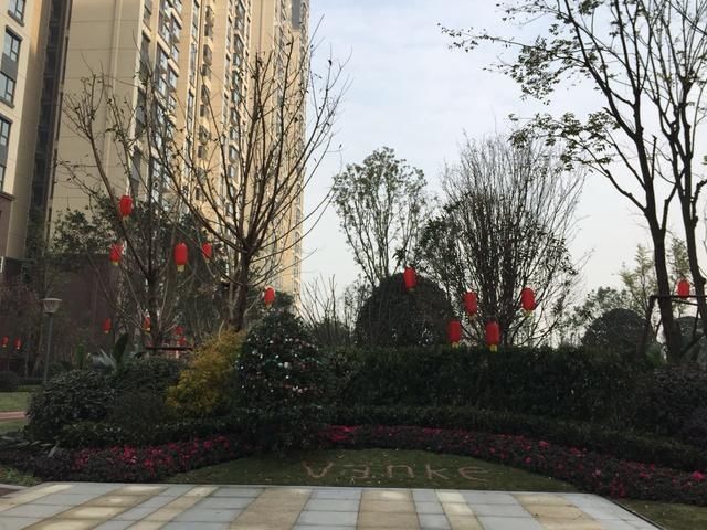 万科房子质量和服务如何?看看专业验房师评价