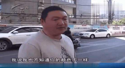 司机停车在停车位上 交警为何上去就贴罚单!山