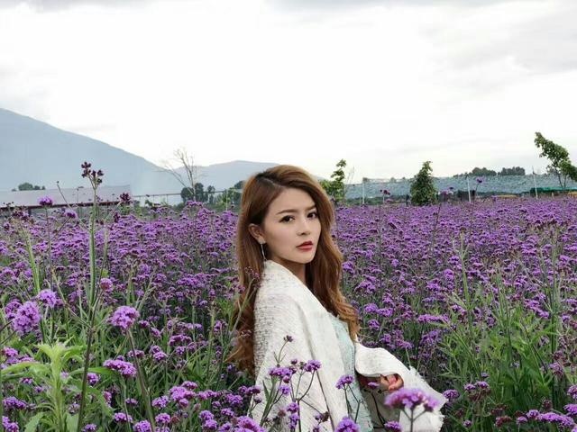 周薇在薰衣草映衬下的唯美写真.