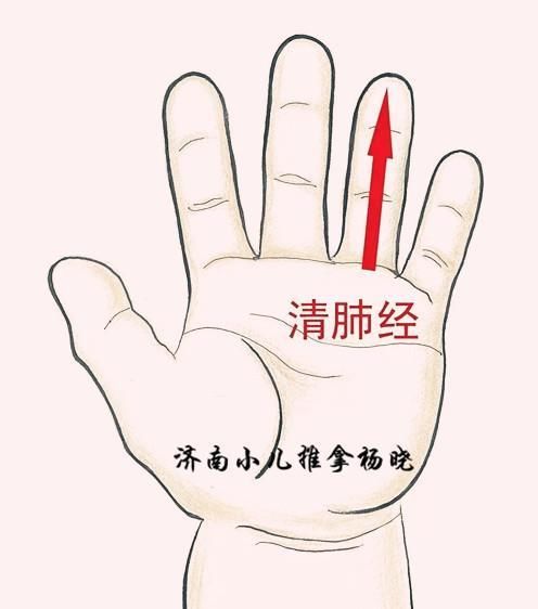 济南道医小儿推拿杨晓:小儿外感咳嗽的中医小