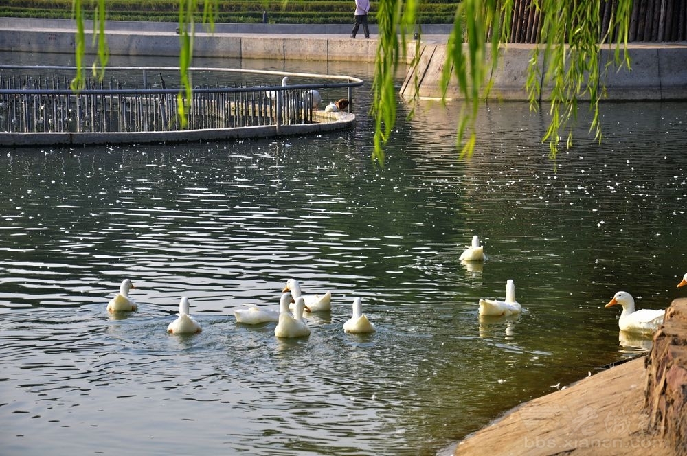 诗词里的张家口春天!美极了!