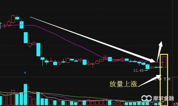 中国芯片股票第一名 t010df77a08fb64fd5c.jpg