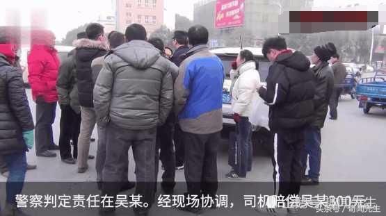 泰迪横穿马路被撞死,司机:我守法开车,凭什么赔