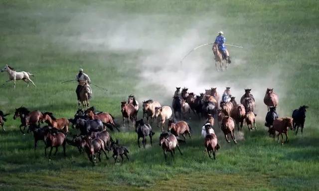 聆听中国:陪你去草原 聆听中国:陪你去草原