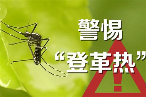 浙江多地现登革热疫情!看到这种蚊子一定要小心