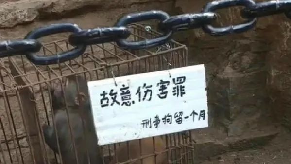 峨眉山猴子被“刑拘”？景区回应