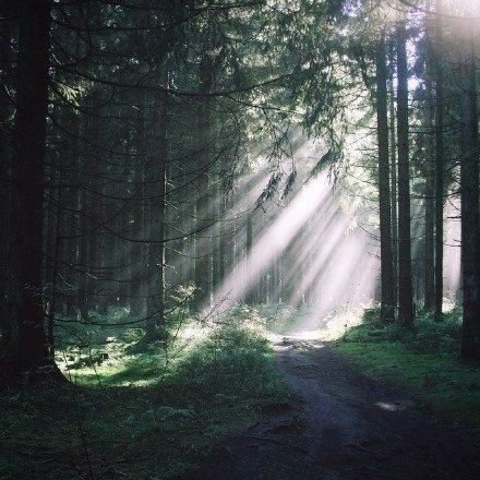 看透人心心酸的句子,句句精辟,你经历过吗?