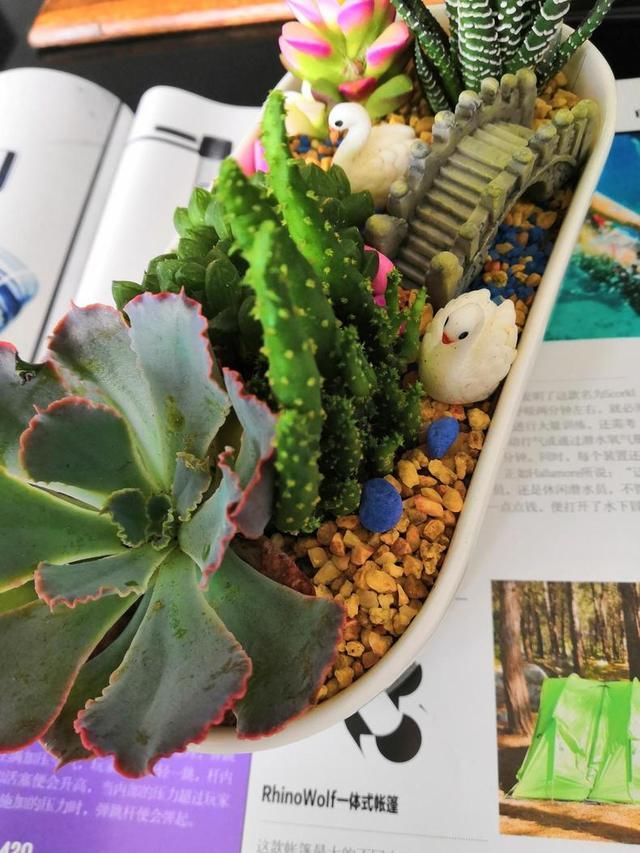 荣耀play打王者,帧数这么高!