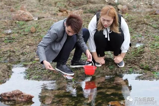 旅游来青岛栈桥赶海乐趣多,螃蟹、 海蛎子随便