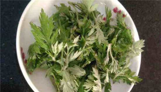 艾叶泡脚可以治咳嗽吗?艾叶泡脚竟有这种神