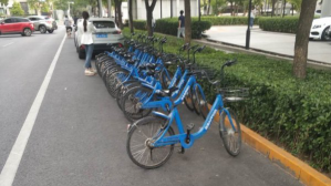 整治共享单车!北京市交通委处罚哈啰出行、青桔单车 整治共享单车!北京市交通委处罚哈啰出行、青桔单车