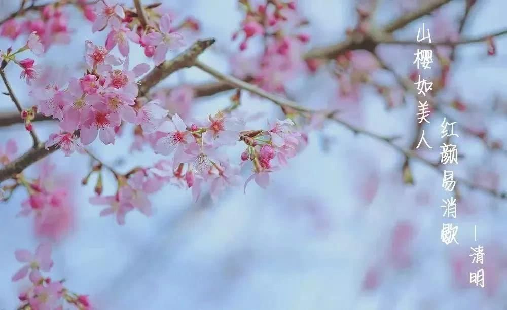 一座城市的24节气,是与这座城的24次相遇