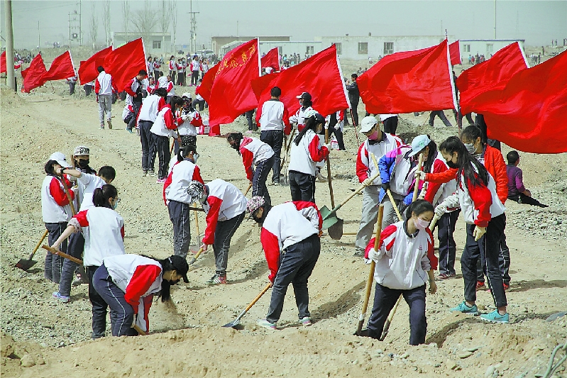 阿克苏地区第二中学师生参加义务植树(资料片)杨硕摄