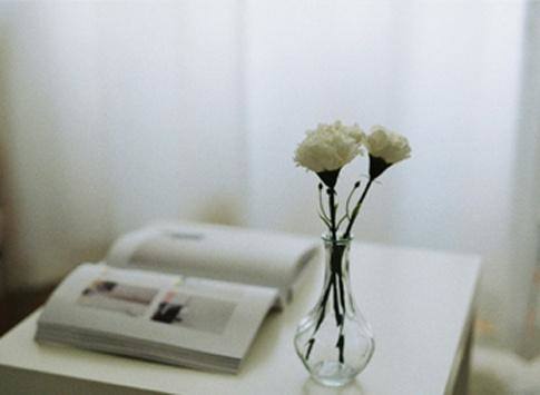 余生不将就，才是这四大生肖的style