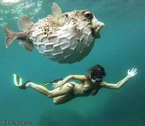 搞笑图片:妹子求求你穿上棉裤再出门吧!