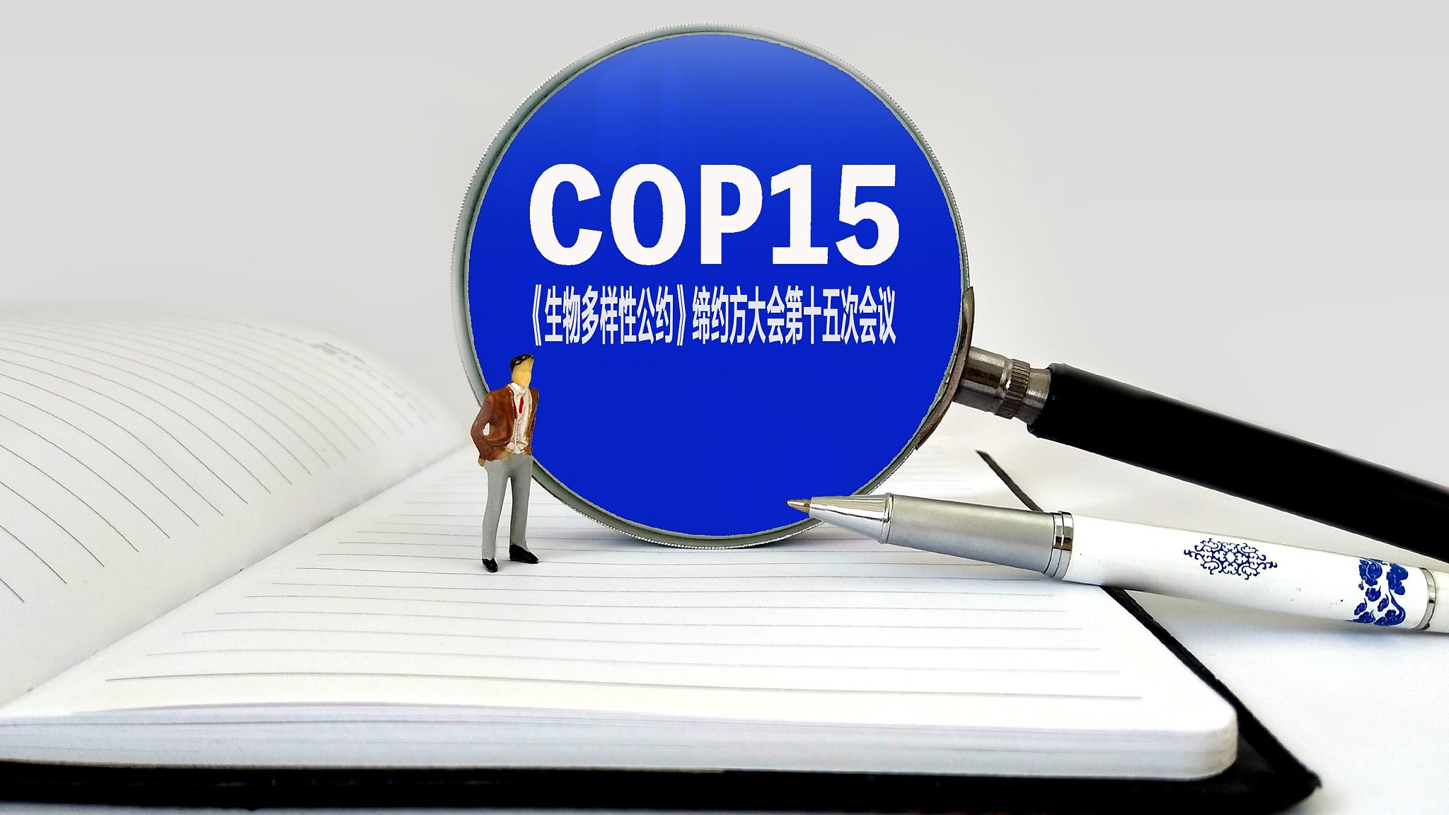 COP15第二阶段会议将取得哪些成果?专家解读→_北京时间