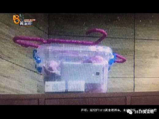 浙江一健身房女更衣室 有部手机正在录像