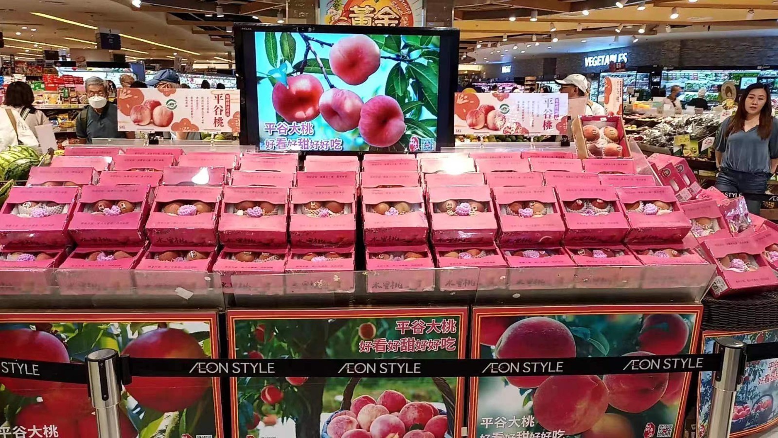 72小时直达!平谷大桃卖进港澳 72小时直达!平谷大桃卖进港澳