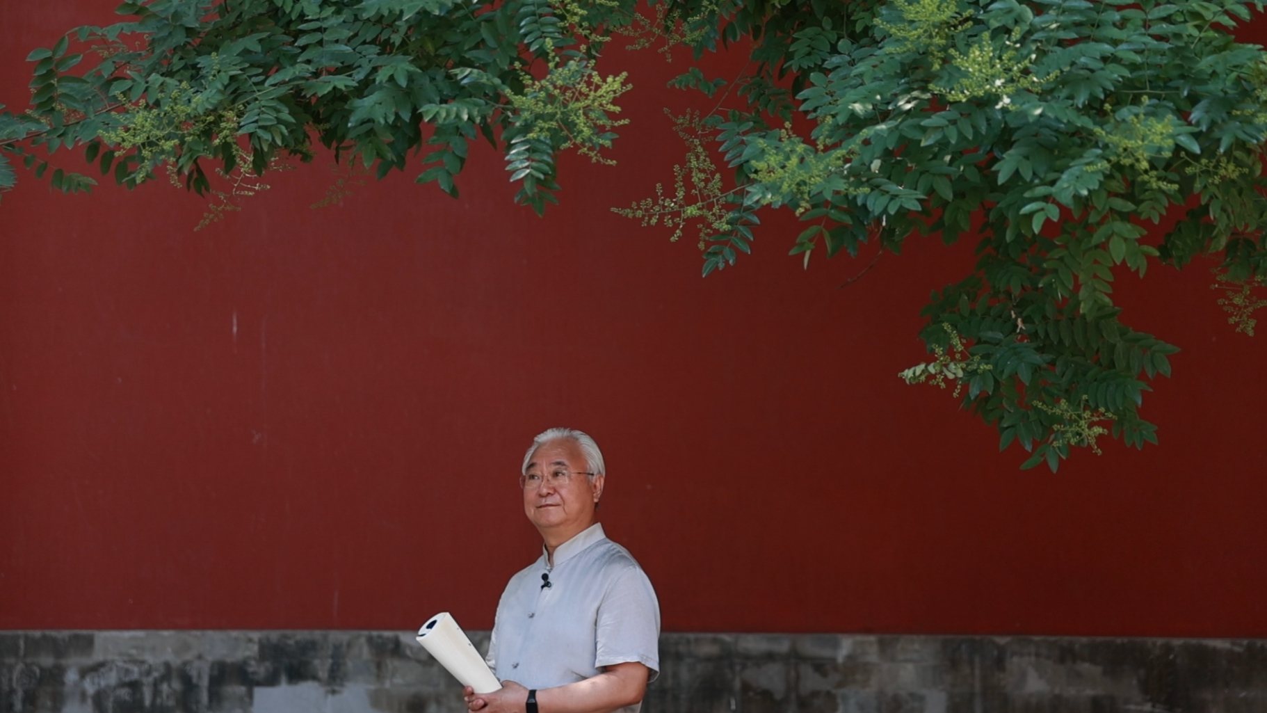 杏林医者——伤寒情 杏林医者——伤寒情