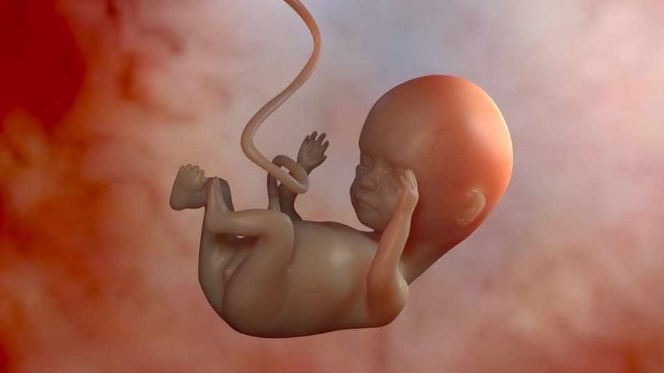 孕妈妈用手电筒照向腹中的胎儿,胎宝宝接着给予妈妈这样的回应