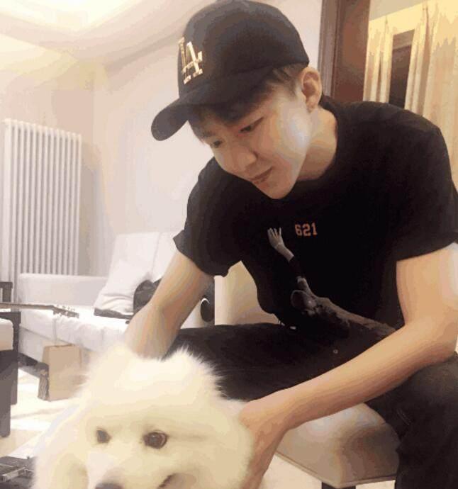 发生了什么?抖音一哥刘宇宁直播, 整条街粉丝