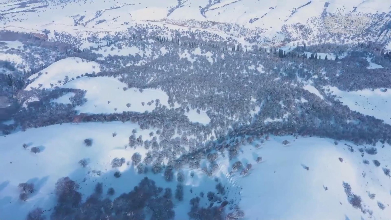 “春天的气息”到底是什么样的?这条逐渐解冻的河会告诉你答案 “春天的气息”到底是什么样的?这条逐渐解冻的河会告诉你答案