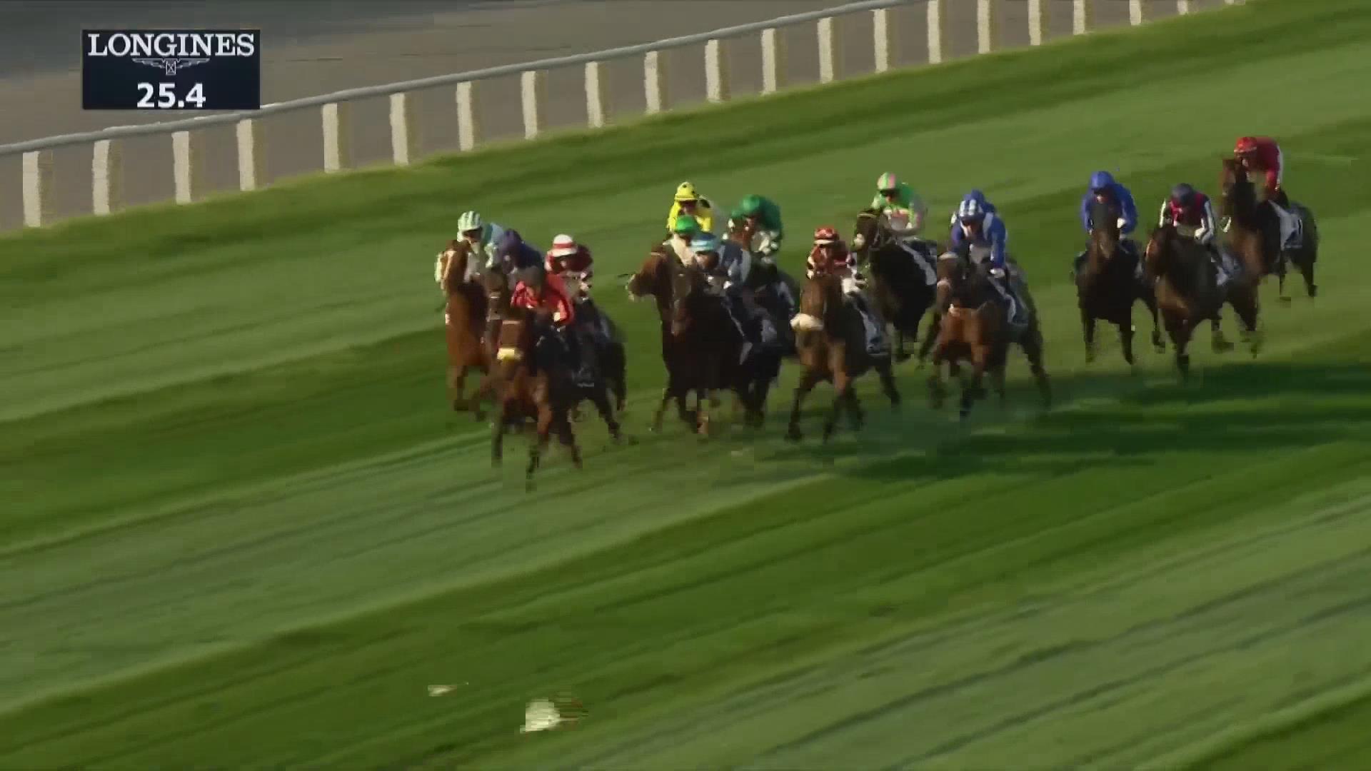 世界各地赛马齐聚迪拜角逐世界杯